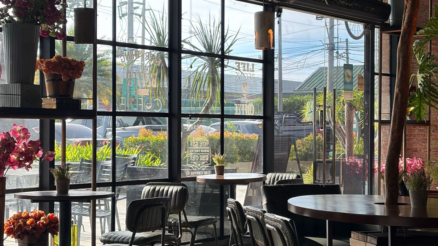 A bright café interior with large windows, leather chairs, plants and flowers