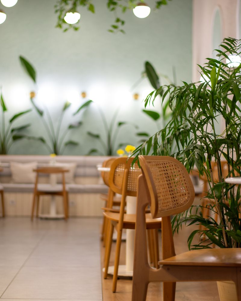 A cosy, light-filled café corner with timber furniture and greenery